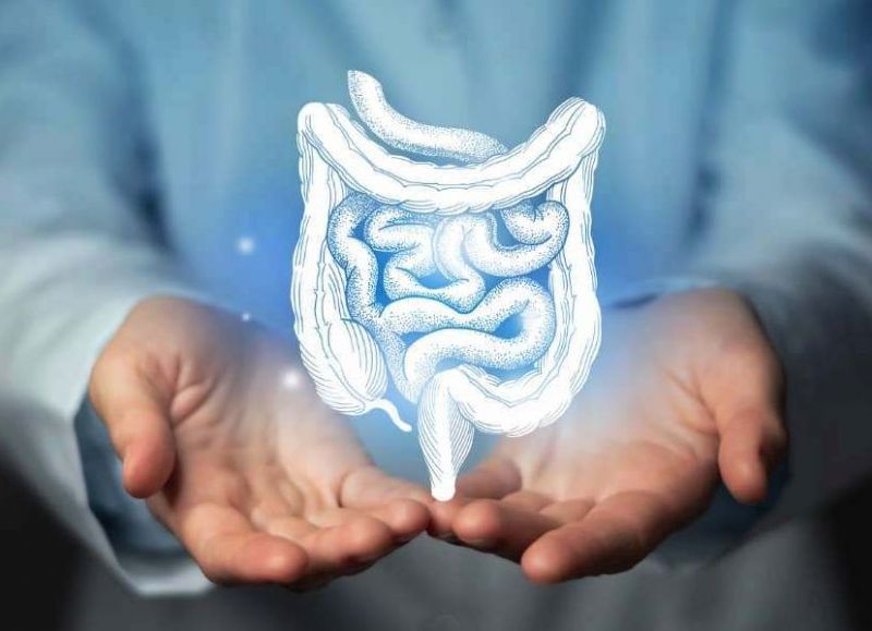 Anuncian jornadas de prevención del cáncer de colon