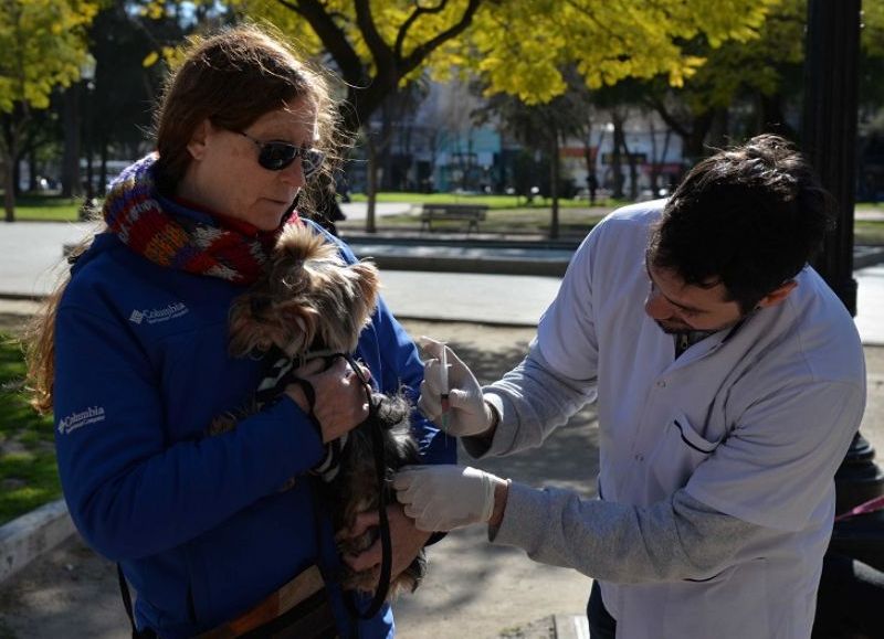 El municipio fortalece atención veterinaria con más móviles y atención extendida